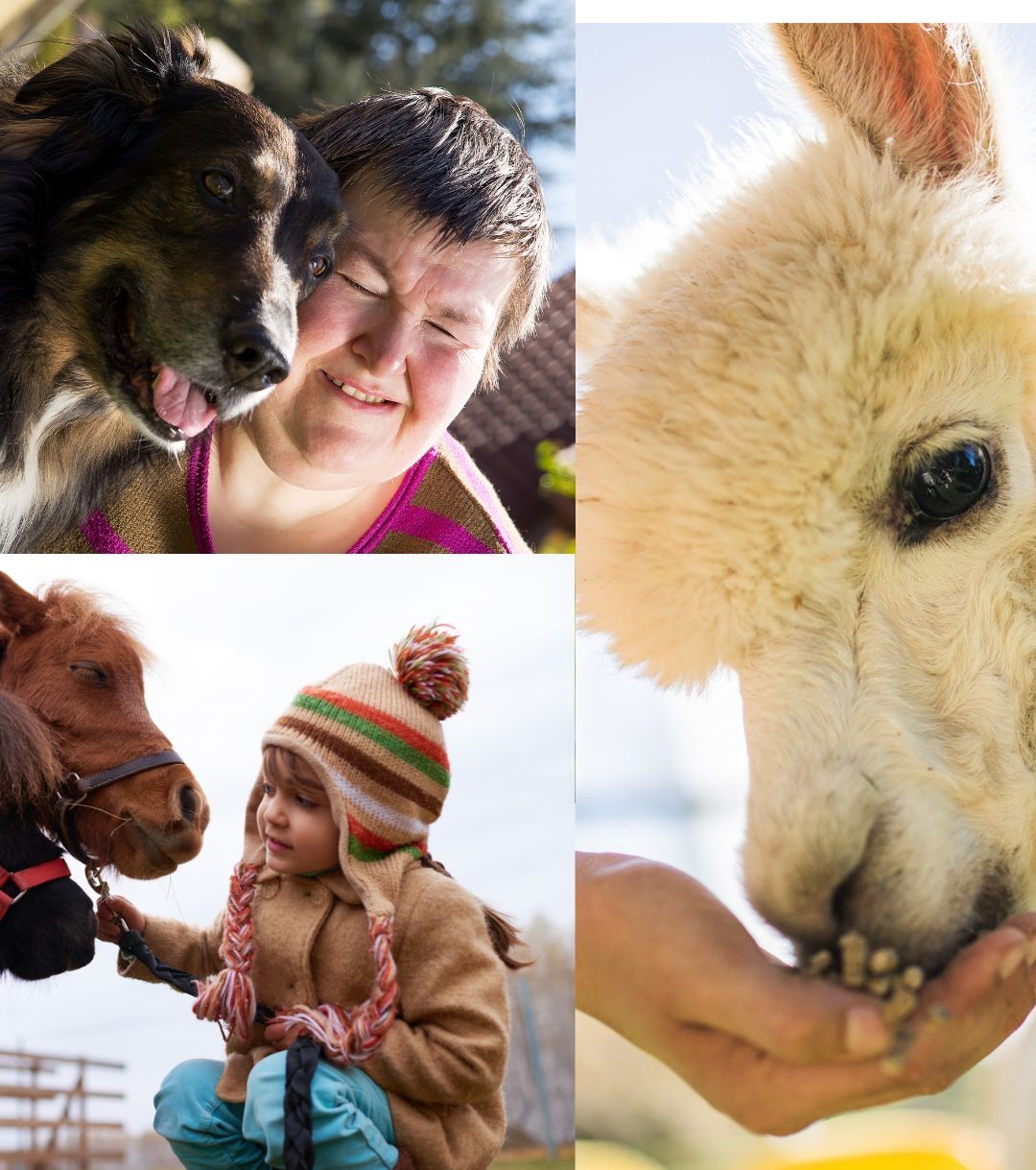 Tiere und Menschen sind zusammen. Die Menschen freuen sich. Tiere und Menschen sind zusammen. Die Menschen freuen sich.