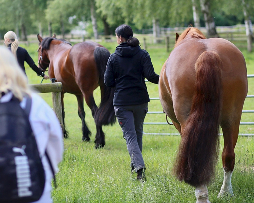 zwei Frauen der Tagesstätten führen jeweils ein Pferd auf die Weide