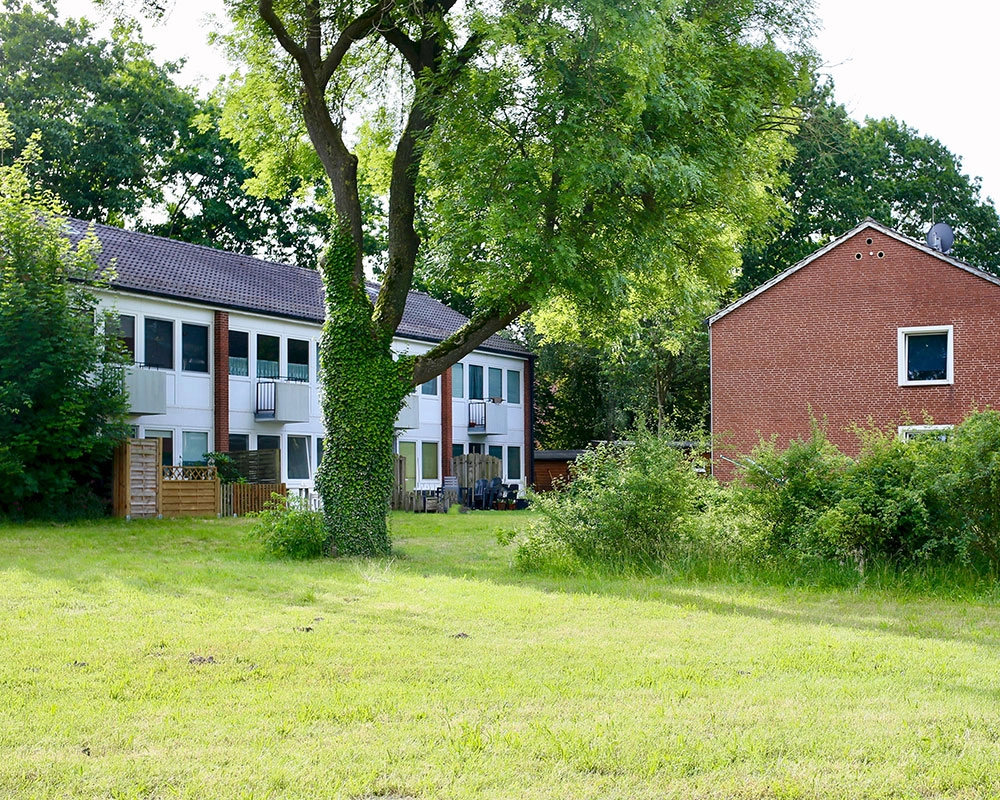 Auf einer Rasenfläche steht ein großer Baum und links und rechts davon stehen jeweils rote Backsteinhäuser