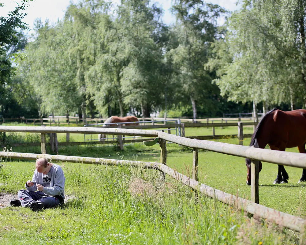 Eine Person sitzt im Gras neben einem eingezäunten Weidebereich. Im Hintergrund stehen Pferde auf einer grünen Wiese, umgeben von Bäumen und Holz­zäunen.