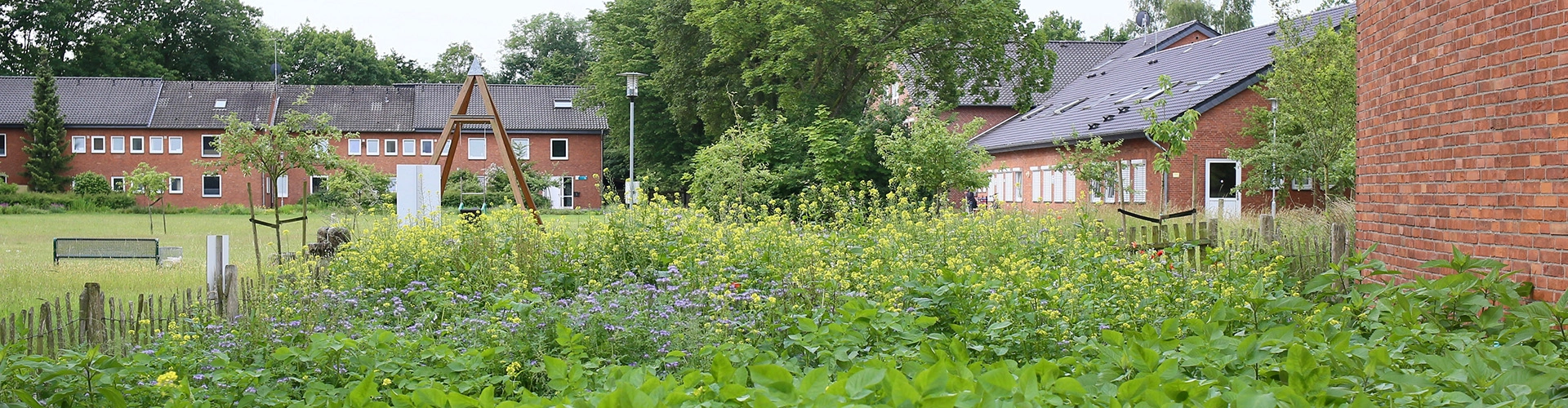 Wiese mit Wildblumen und einen Schaukel vor einer Häuserreihe des ambulant unterstützen Wohnens