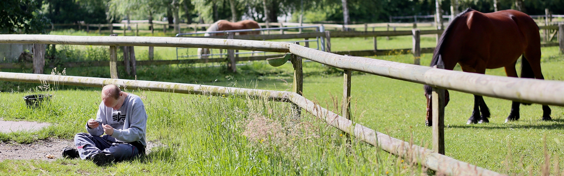 auf einer Weide stehen zwei Pferde. Vor dem Holzzaun der Weide sitzt ein Bewohner und spielt mit einem Grashalm.