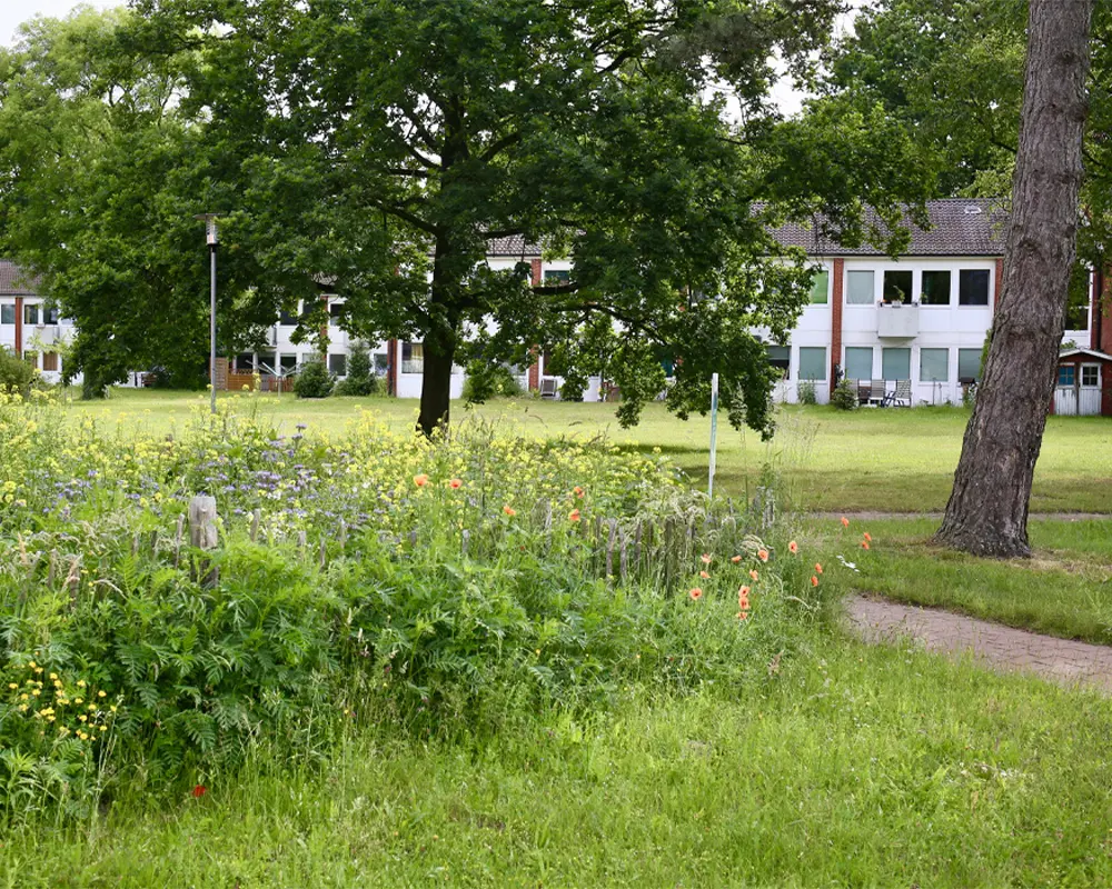 Eine Grünfläche mit Wiese, Wildblumen und mehreren großen Bäumen. Im Hintergrund stehen helle Gebäude.