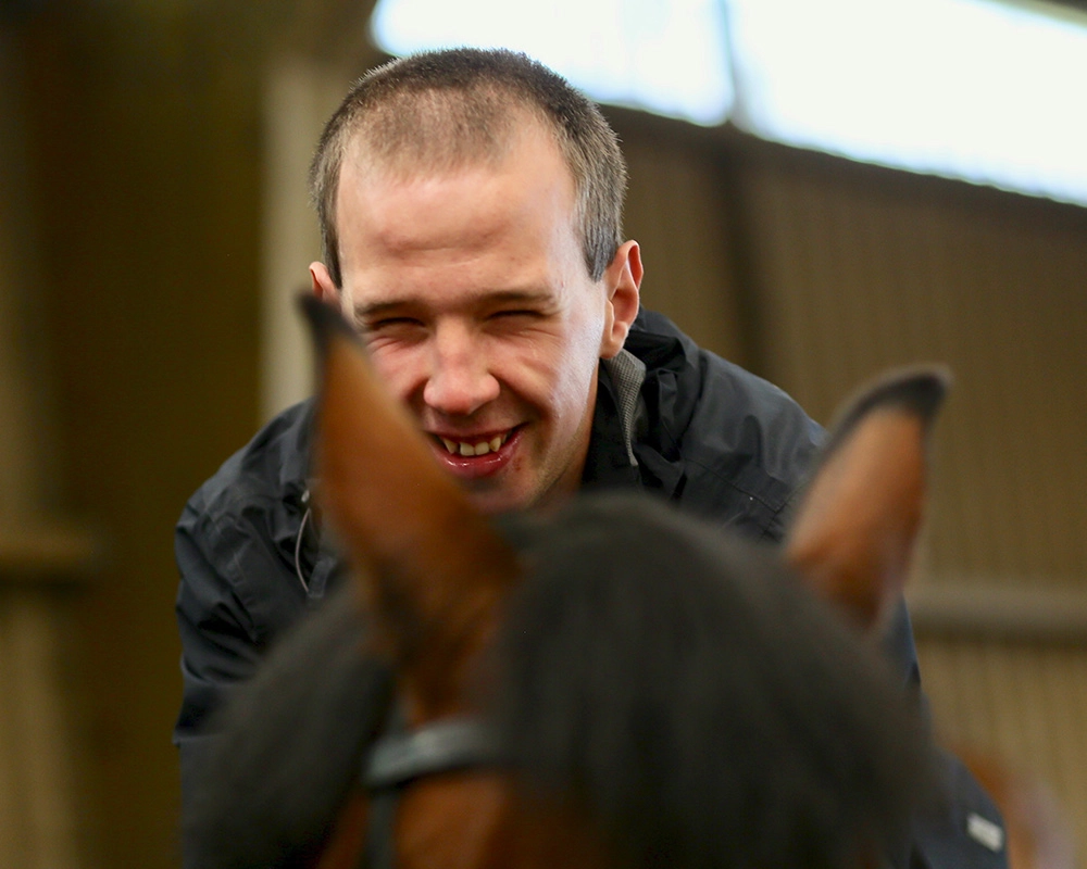 Der Kopf eines Bewohners und die braunen Ohren und der schwarze Schopf eines Pferdes